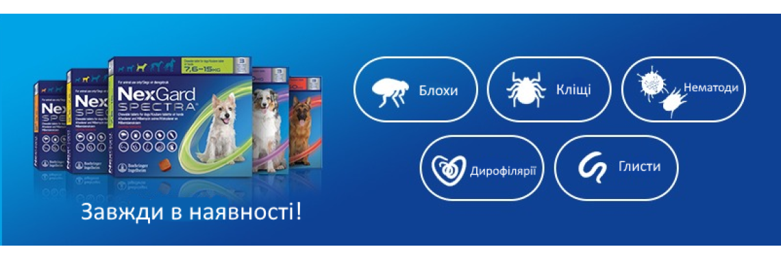 Головна